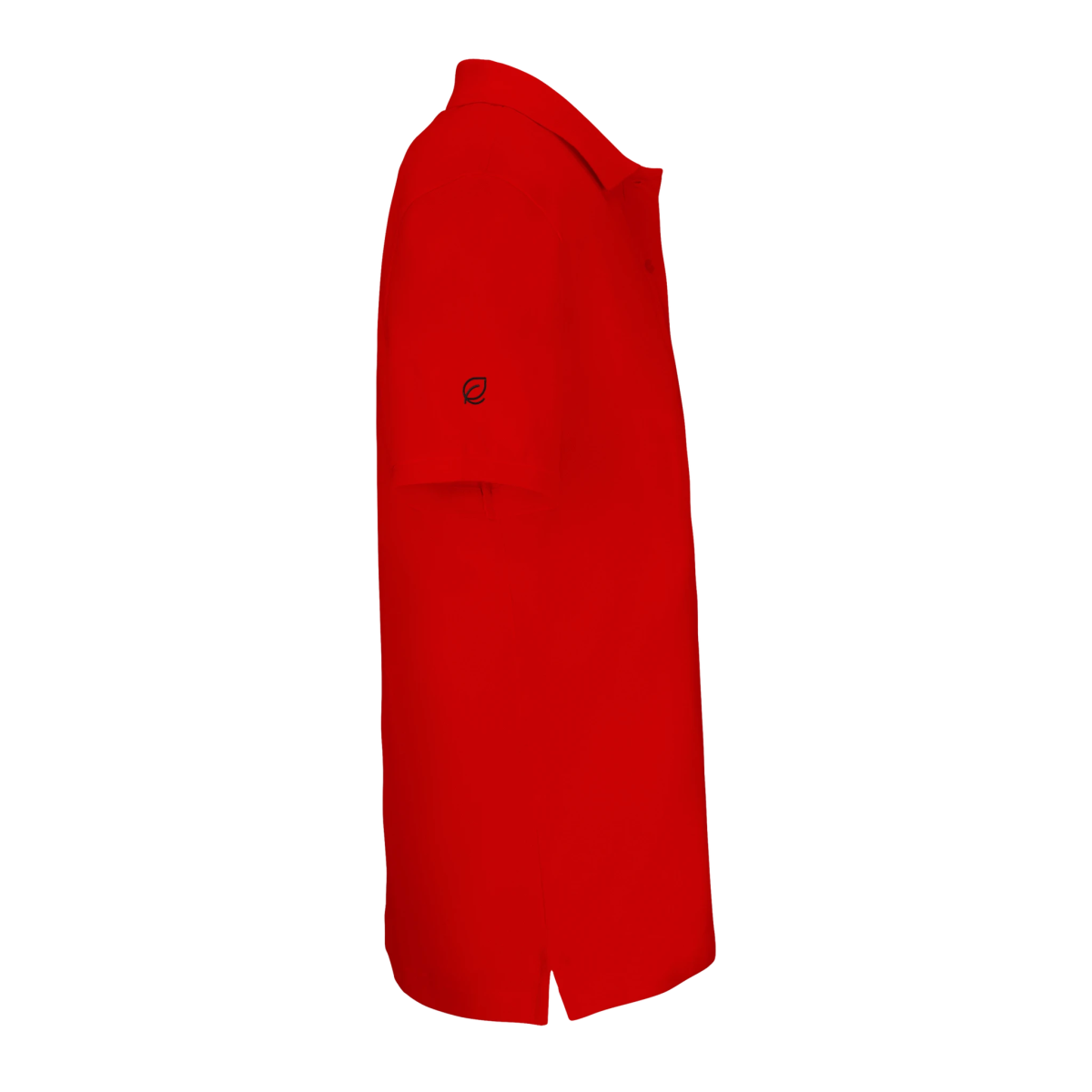 Jurassic Polo - Simplethia - Jurassic Polo