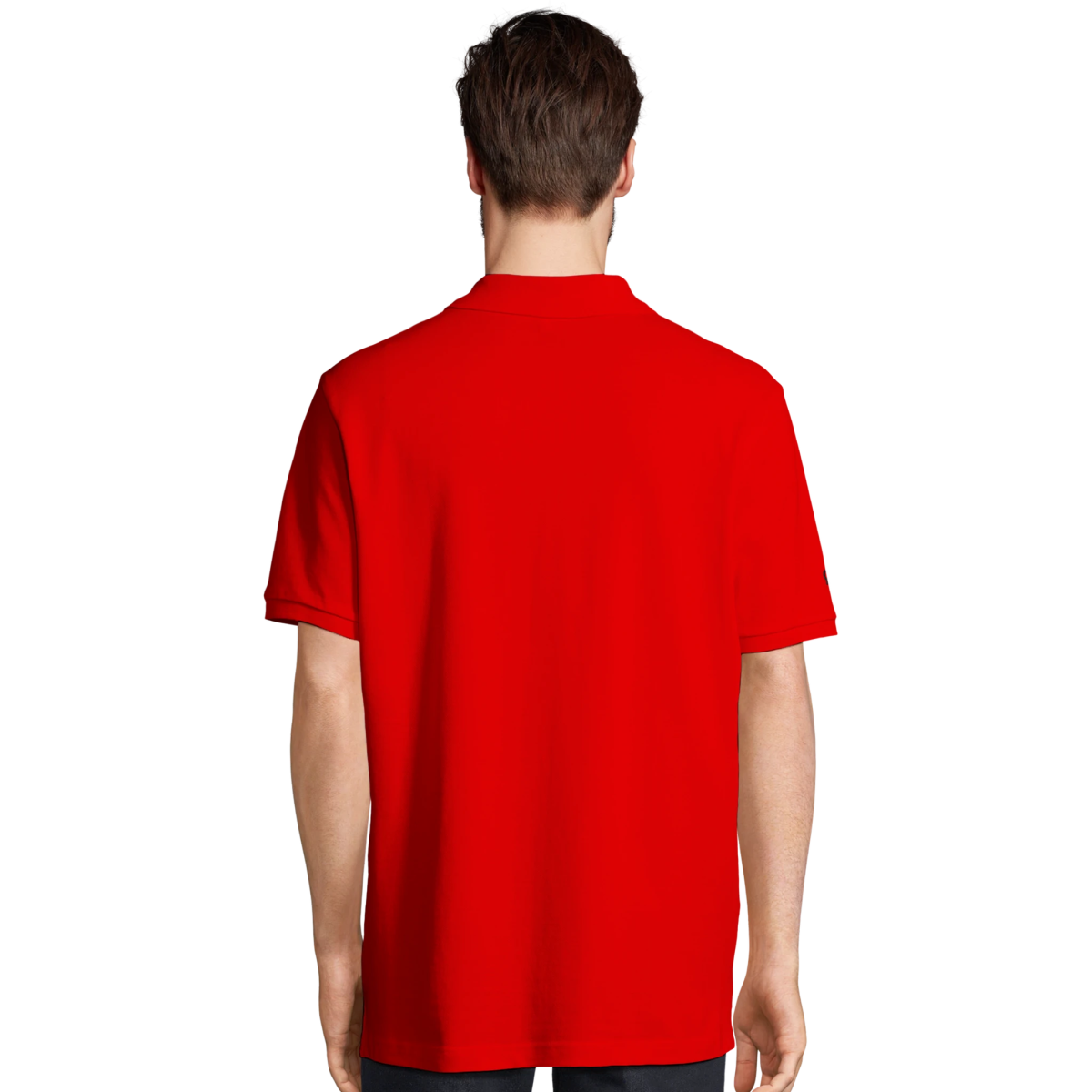 Jurassic Polo - Simplethia - Jurassic Polo