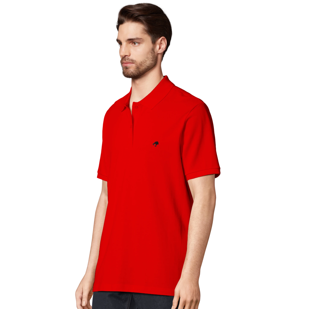 Panther Polo - Simplethia - Panther Polo